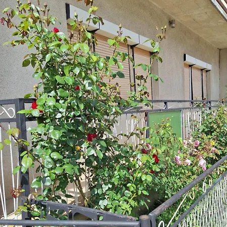 Relax Rose Apartmán Kulen Vakuf