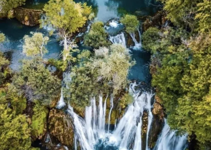 Appartamento Relax Rose