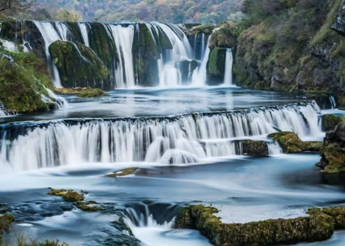 Relax Rose Kulen Vakuf