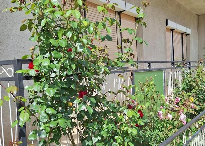 Relax Rose Appartamento Kulen Vakuf